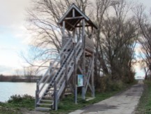 Altrheinsee observation tower