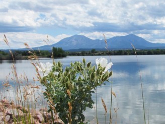View of the Spanish Peaks from Lathrop State Park