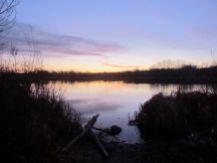 Sunrise at McCrae Reservoir/Sonnenaufgang