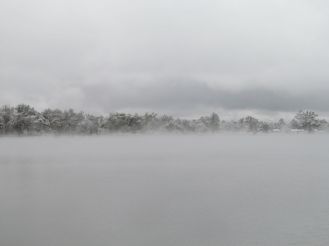 Prospect Lake in the mist and fog.