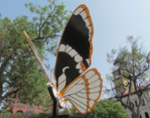 Dichotomy by Al B Johnson, this year's raffle butterfly