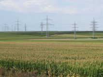 Cultivated fields and power poles