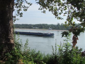 The Rhine has always been used for shipping