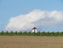 Field, vineyard, and "Wingertshäusje,"one of the ubiquitous structures scattered throughout the region which used to provide a shelter for those individuals who protected the vineyards from all manner of animals